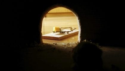 Spam Traps: I Want to Play a Game